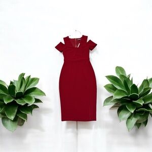 Express Red Mini Bodycon Dollman Sleeve Dress With A Split